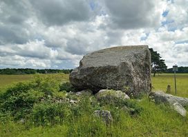 Kukka Põllukivi