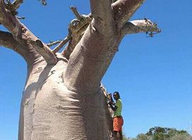 Réserve Peyrieras Madagascar Exotic