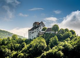 Schloss Wildegg