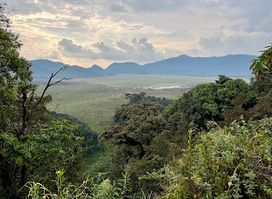 Kamiranzovu Swamp