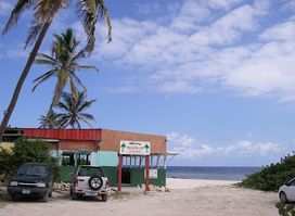 Palm Grove Barbeque Grill