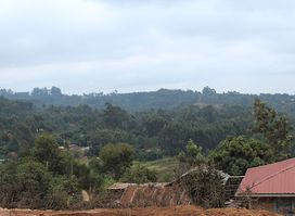 Iveti Hills