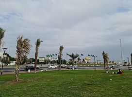 Attahlia Park