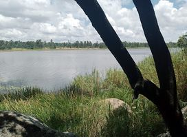 Haka Game Park