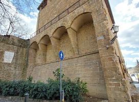 Walls of Florence
