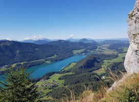 Schober