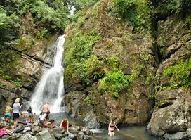 El Yunque National Forest