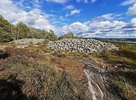 Vitlycke Rock Carvings