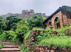 Tiger Reserve