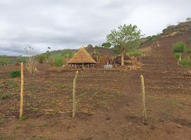 Lalo Tours Ethiopia