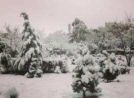 پارکی کوردسات