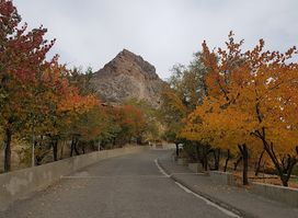 Best of Osh