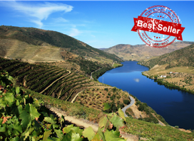 EFun Tours - Porto & Douro Tours