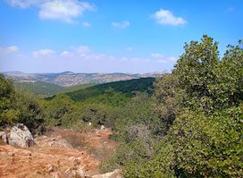 Ajloun Forest Reserve Visitor Center