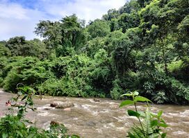 Champawati Water Fall / Chapanala Picnic Spot