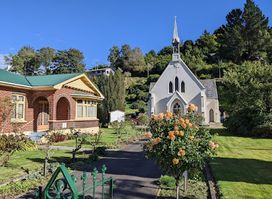 Dunedin Town Belt