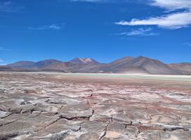 Laguna Chaxa