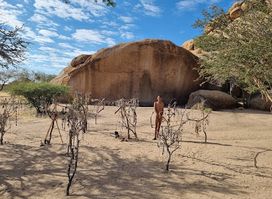 San Living Museum
