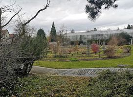 Botanischer Garten