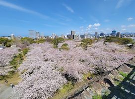 Maizuru Park