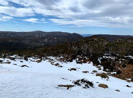 Mount Mawson