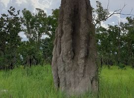 NT Adventure Park