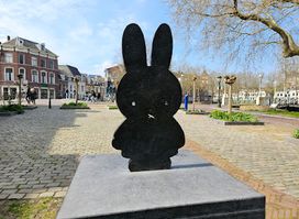Miffy's little square