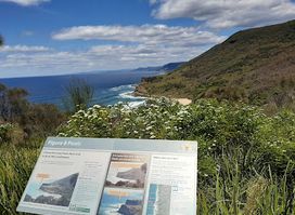 Figure Eight Pools