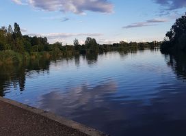 Les Rives de Meurthe