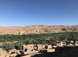 Dades view