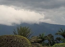 Pico Basilé
