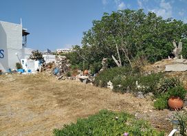 Ναός του Απόλλωνα στην Καρδάμαινα