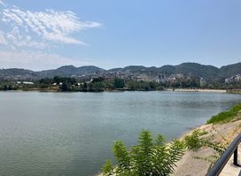 Liqeni i Tiranës
