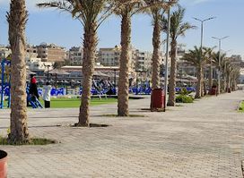 Family park