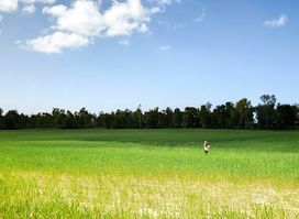 Yad Mordehai Forest