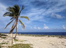 Punta Cana Tours