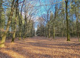 Boswachterij Gees