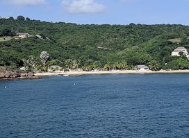 Freeman's Bay