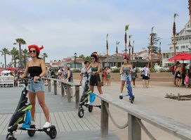 Paradise Trike Tours
