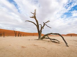 Sossusvlei