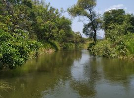 ගිනි පෙට්ටි පාලම