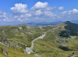 Transalpina King's Road