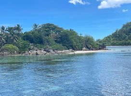 Mickey And Sons Boat Charter