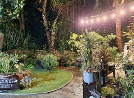 Aurora's Garden