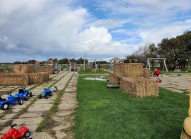 Texel Sheep Farm