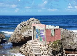 Totally Barbados