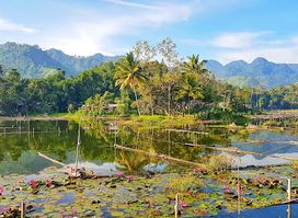 Mindanao