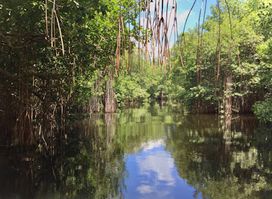 Black River