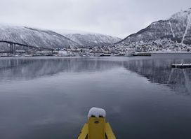 Tromso Wilderness Center - Dog sledding