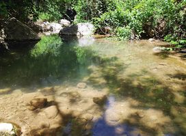 Nature Reserve Nahal Amud